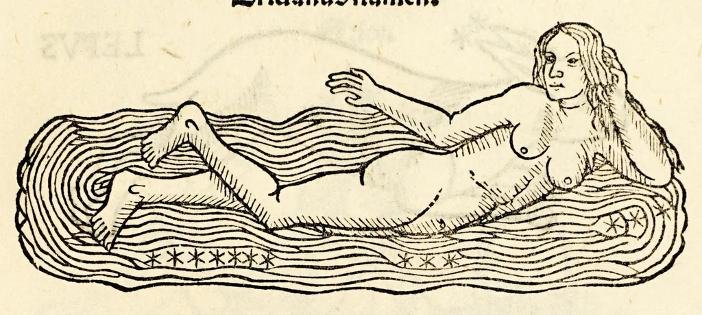 An illustration from Higinius de stellis, 1513, leaf 75