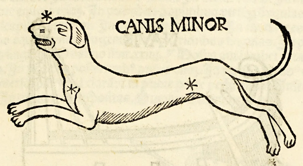 An illustration from Higinius de stellis, 1513, leaf 79