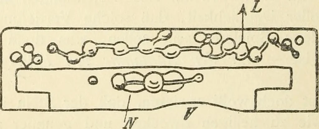 An illustration from Hilprecht anniversary volume. Studies in Assyriology and archaeology dedicated to Hermann V. Hilprecht upon the twenty-fifth anniversary of his doctorate and his fiftieth birthday (July 28), 1909, leaf 300