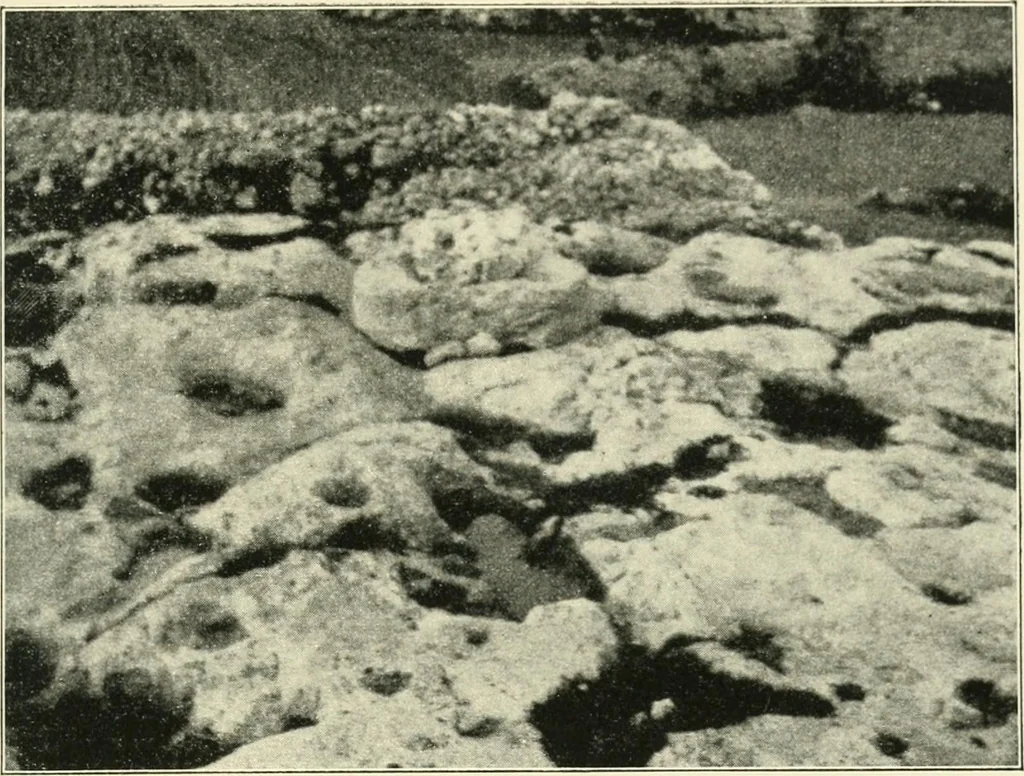 An illustration from Hilprecht anniversary volume. Studies in Assyriology and archaeology dedicated to Hermann V. Hilprecht upon the twenty-fifth anniversary of his doctorate and his fiftieth birthday (July 28), 1909, leaf 317
