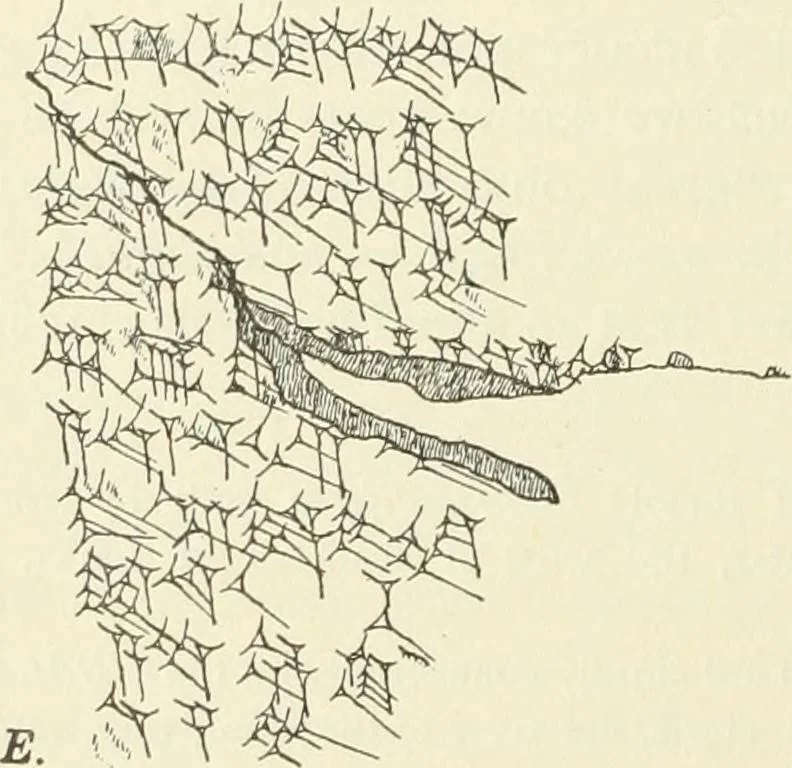An illustration from Hilprecht anniversary volume. Studies in Assyriology and archaeology dedicated to Hermann V. Hilprecht upon the twenty-fifth anniversary of his doctorate and his fiftieth birthday (July 28), 1909, leaf 528