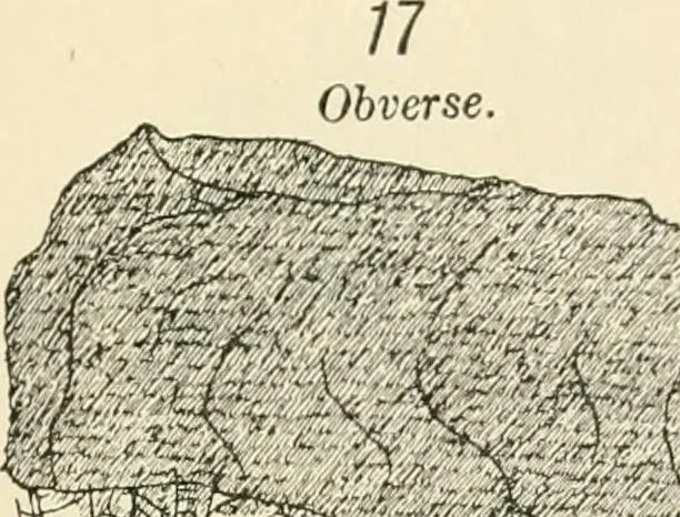 An illustration from Hilprecht anniversary volume. Studies in Assyriology and archaeology dedicated to Hermann V. Hilprecht upon the twenty-fifth anniversary of his doctorate and his fiftieth birthday (July 28), 1909, leaf 605