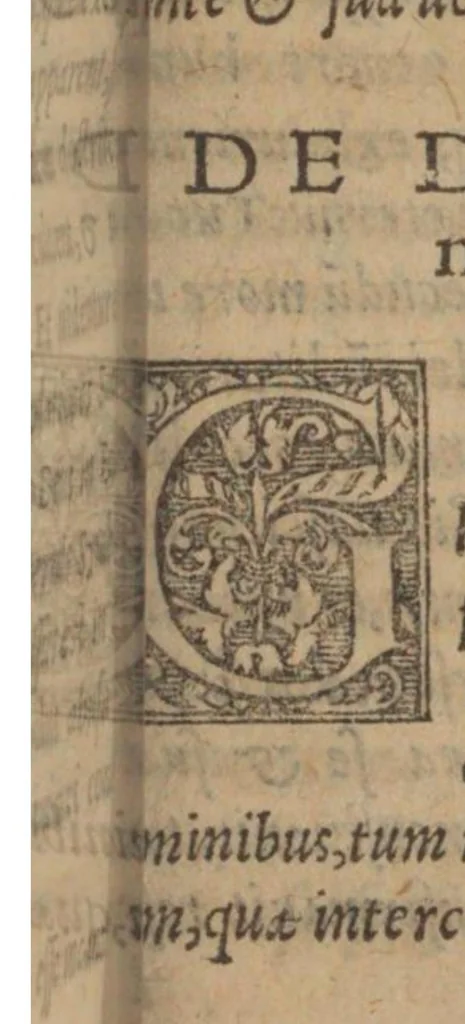 An illustration from Commentarivs de praecipvis generibvs divinationvm, in quo a prophetiis autoritate divina traditis et a physicis conjecturis, discernuntur artes et imposturae diabolicae, atque observationes natae ex superstitione et cum hac conjunctae. Et monstrantur fontes et causae physicarum praedictionum. Diabolicae vero ac superstitiosae confutatae damnantur. Recens editus & auctus accessione multiplici / Avtore Casparo Pevcero, 1560, leaf 365