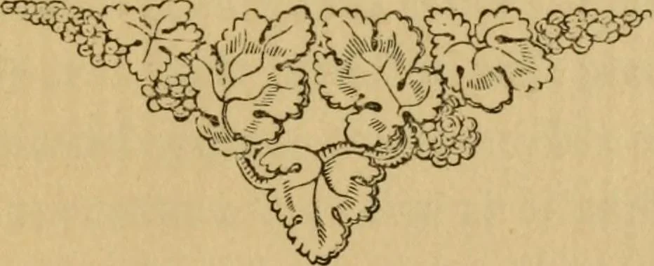 An illustration from Hint's about men's dress, right principles economically applied, 1888, leaf 24