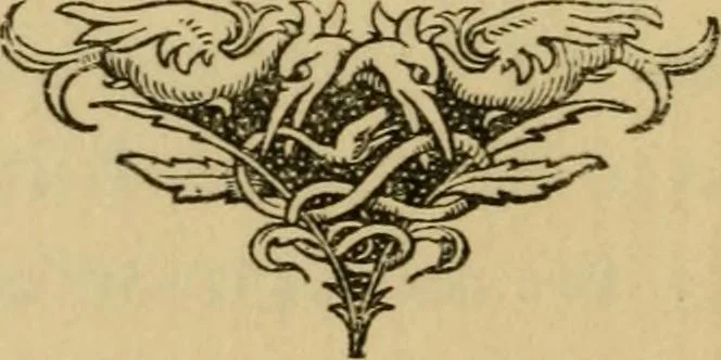 An illustration from Hint's about men's dress, right principles economically applied, 1888, leaf 55