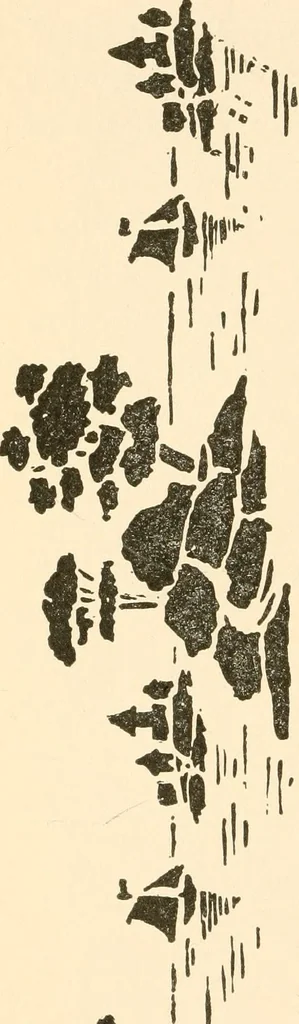 An illustration from Hints for painters, decoratores and paper hangers .., 1911, leaf 114