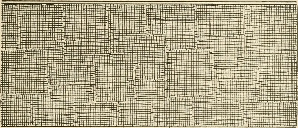 An illustration from Hints for painters, decoratores and paper hangers .., 1911, leaf 79