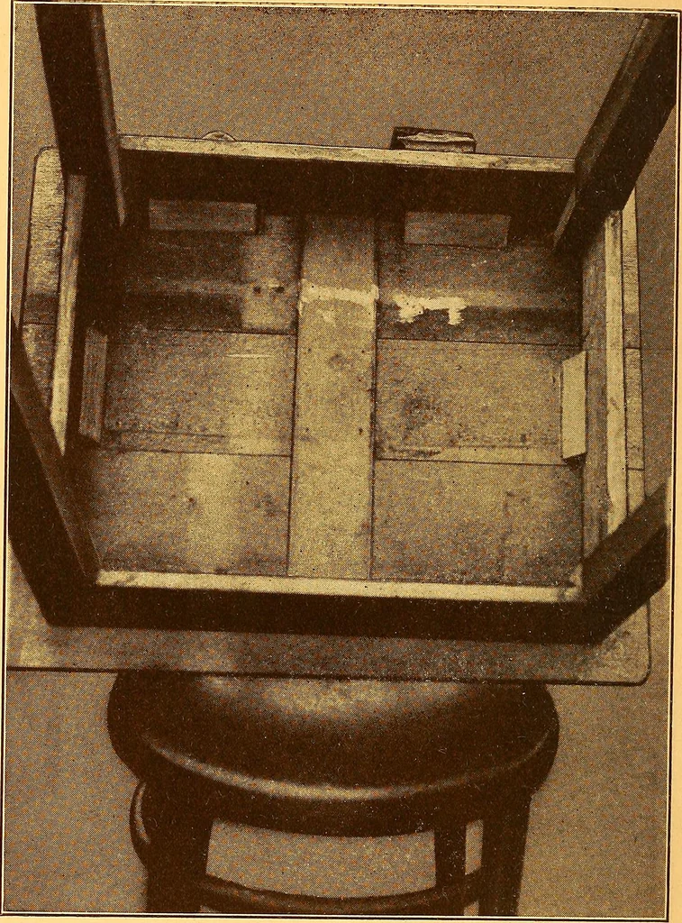 An illustration from Hints and observations for those investigating the phenomena of spiritualism, 1918, leaf 94