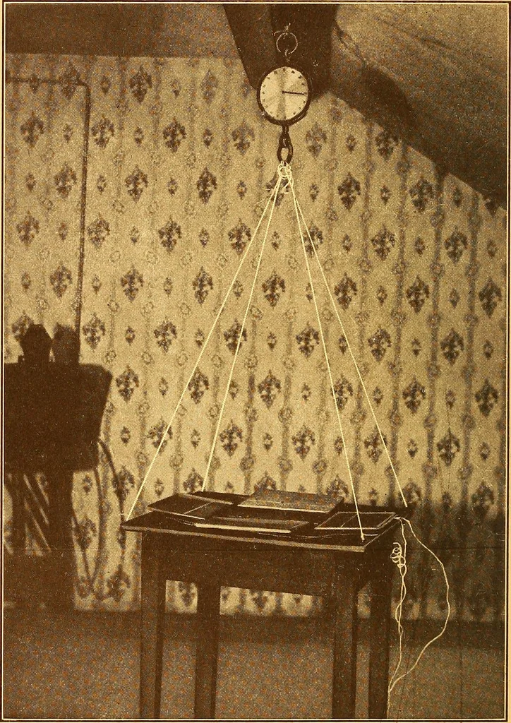 An illustration from Hints and observations for those investigating the phenomena of spiritualism, 1918, leaf 96