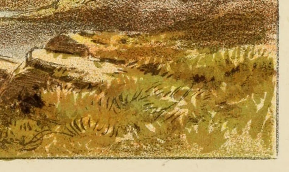 An illustration from Hints on sketching from nature, 1874, leaf 79