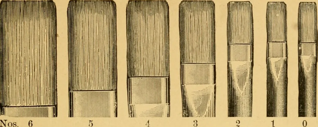 An illustration from Hints on tints and how to mix them : illustrated by one hundred and seventy-five specimens of tints, with an introductory essay on color and colors by Henry Leidel., 1893, leaf 64