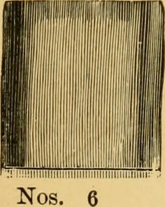 An illustration from Hints on tints and how to mix them : illustrated by one hundred and seventy-five specimens of tints, with an introductory essay on color and colors by Henry Leidel., 1893, leaf 64