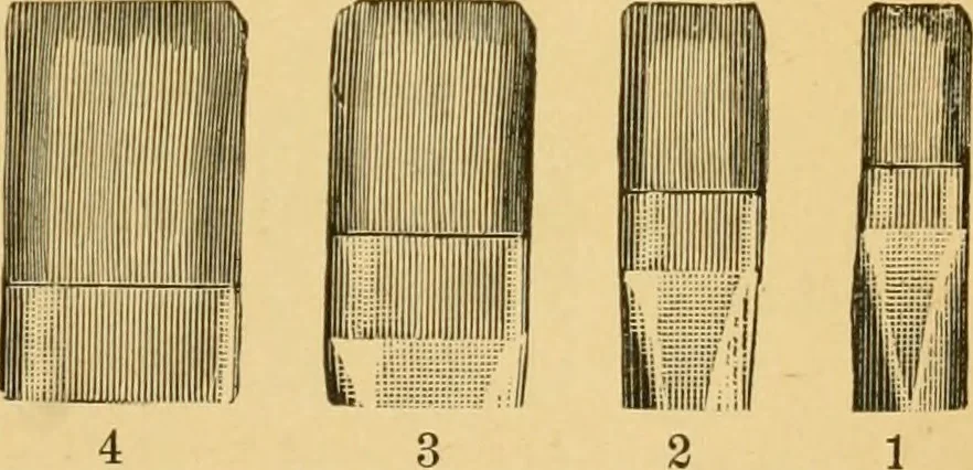 An illustration from Hints on tints and how to mix them : illustrated by one hundred and seventy-five specimens of tints, with an introductory essay on color and colors by Henry Leidel., 1893, leaf 64