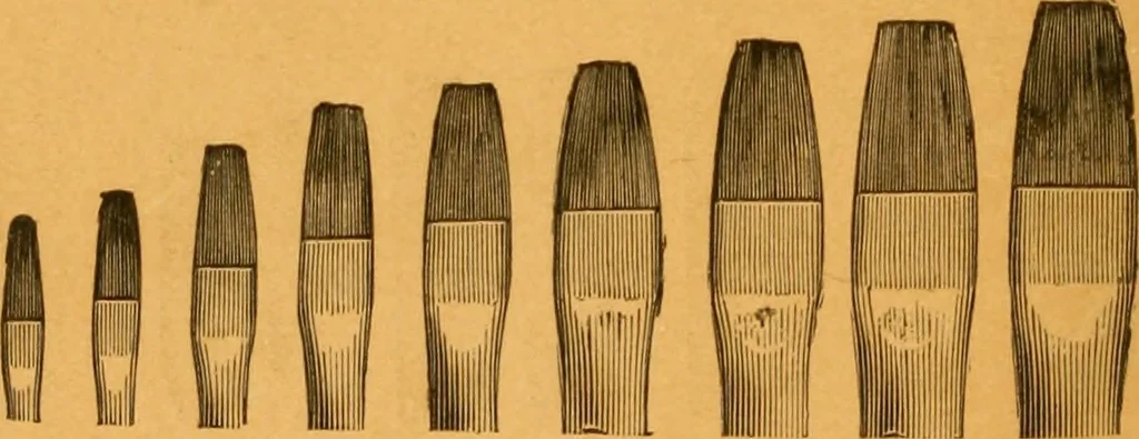 An illustration from Hints on tints and how to mix them : illustrated by one hundred and seventy-five specimens of tints, with an introductory essay on color and colors by Henry Leidel., 1893, leaf 65