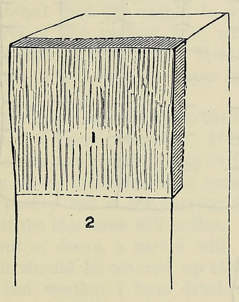An illustration from Hints to travellers, scientific and general, 1901, leaf 169