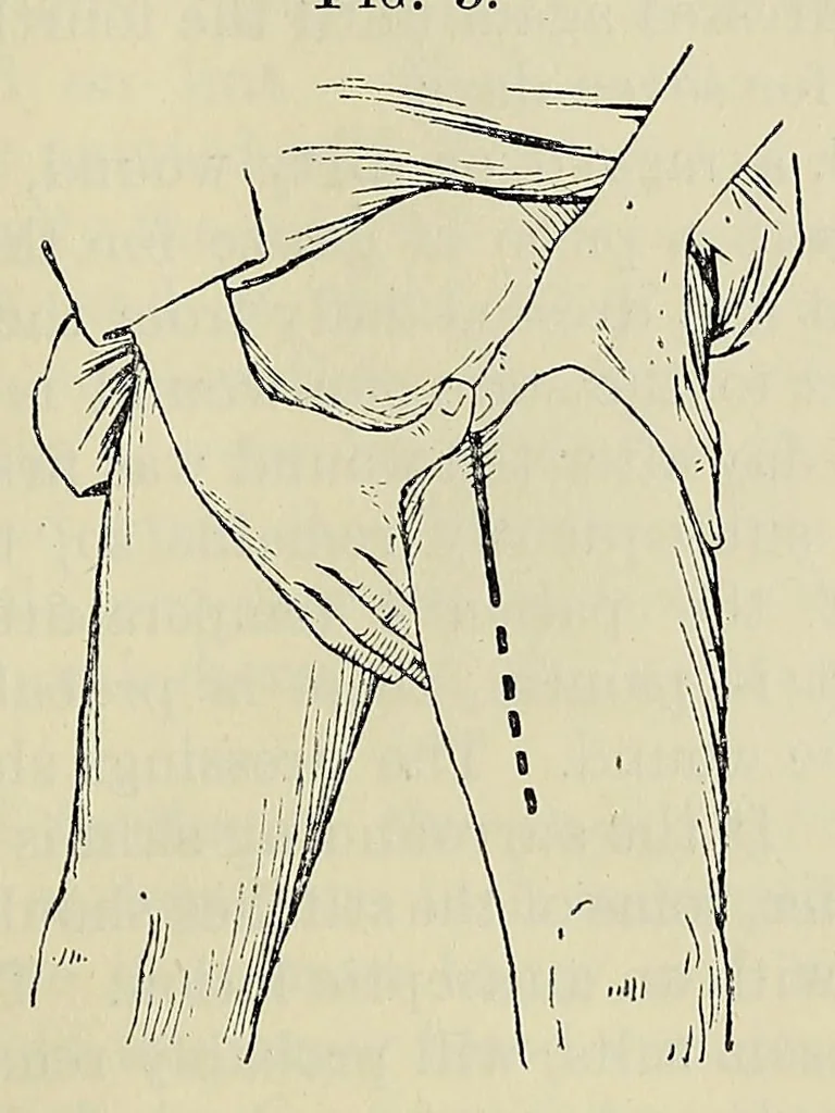 An illustration from Hints to travellers, scientific and general, 1901, leaf 245