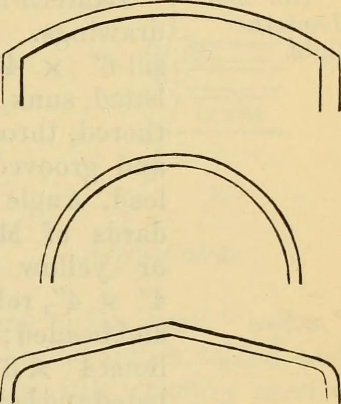 An illustration from Hints to young architects, comprising advice to those who, while yet at school, are destined to the profession, to such as, having passed their pupilage, are about to travel and to those who, having completed their education, are about to practise, together with a model specification involving a great variety of instructive and suggestive matter, 1887, leaf 298