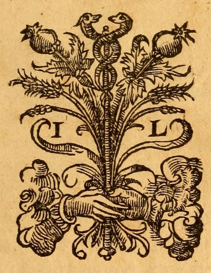 An illustration from Hippocratis Coi medicorum omnium sine controversia principis Aphorismorum sectiones septe[m] : recens è Graeco in Latinum sermone[m] co[n]uersae, & luculentissimis, ijsdemq[ue] breuiss. co[m]mentarijs illustratae & expositae : adiectis annotationibus, in quibus quotquot sunt in Galeni Commentarijs loci difficiles, ad unguem explicantur, 1545, leaf 5