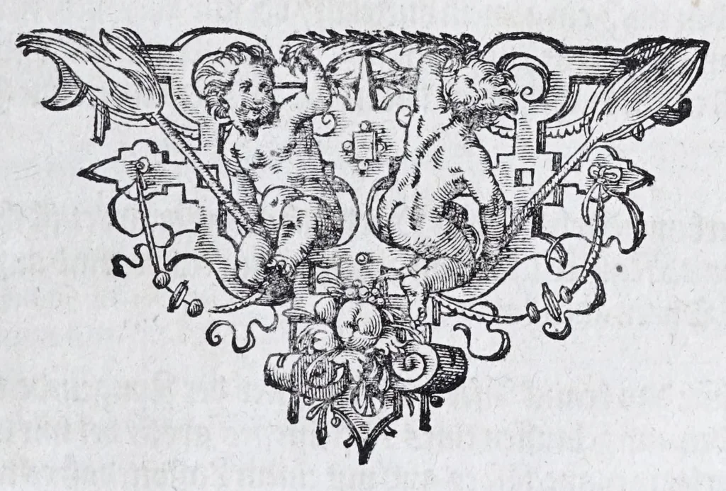 An illustration from Hippopronia : grundtlicher vnnd eigentlicher Bericht inn zwey Bücher verfasset : erstlichen, von Art vnd Eygenschafft der Pferde, wie die auff allerhand vnd vilfaltige Manieren vnd Weisen zu zeumen vnnd abzurichten : mit darzu gehöriger Mundstucken vnd Stangen, vff vnd Abrisse vnd andern künstlichen Figurẽ vorgebildt : so dann fürs ander von derselben Zufäll vnnd Kranckheiten, auch bewehrter Mittel, Curation vnd heilsamen Artzneyen gegründte Beschreibung : alles durch langwirige Erfahrung ... zusam̃en gebracht, vnd ... vor Jaren in Truck verfertigt, 1599, leaf 127