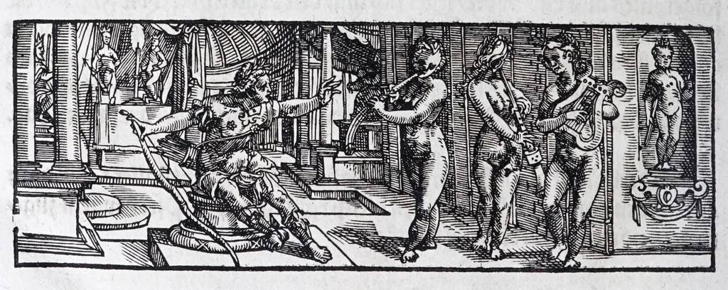 An illustration from Hippopronia : grundtlicher vnnd eigentlicher Bericht inn zwey Bücher verfasset : erstlichen, von Art vnd Eygenschafft der Pferde, wie die auff allerhand vnd vilfaltige Manieren vnd Weisen zu zeumen vnnd abzurichten : mit darzu gehöriger Mundstucken vnd Stangen, vff vnd Abrisse vnd andern künstlichen Figurẽ vorgebildt : so dann fürs ander von derselben Zufäll vnnd Kranckheiten, auch bewehrter Mittel, Curation vnd heilsamen Artzneyen gegründte Beschreibung : alles durch langwirige Erfahrung ... zusam̃en gebracht, vnd ... vor Jaren in Truck verfertigt, 1599, leaf 140