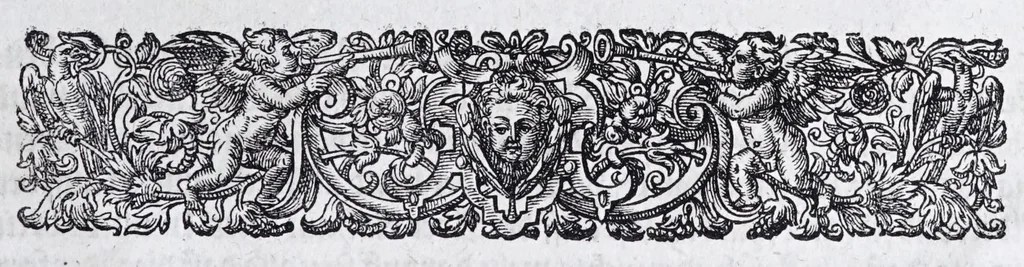 An illustration from Hippopronia : grundtlicher vnnd eigentlicher Bericht inn zwey Bücher verfasset : erstlichen, von Art vnd Eygenschafft der Pferde, wie die auff allerhand vnd vilfaltige Manieren vnd Weisen zu zeumen vnnd abzurichten : mit darzu gehöriger Mundstucken vnd Stangen, vff vnd Abrisse vnd andern künstlichen Figurẽ vorgebildt : so dann fürs ander von derselben Zufäll vnnd Kranckheiten, auch bewehrter Mittel, Curation vnd heilsamen Artzneyen gegründte Beschreibung : alles durch langwirige Erfahrung ... zusam̃en gebracht, vnd ... vor Jaren in Truck verfertigt, 1599, leaf 149