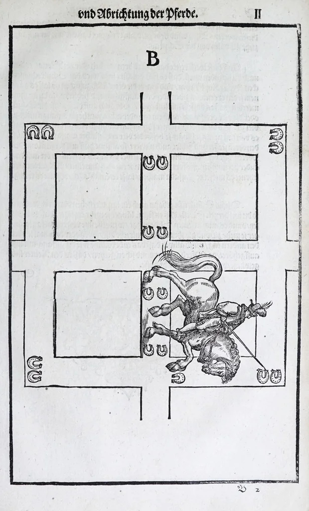 An illustration from Hippopronia : grundtlicher vnnd eigentlicher Bericht inn zwey Bücher verfasset : erstlichen, von Art vnd Eygenschafft der Pferde, wie die auff allerhand vnd vilfaltige Manieren vnd Weisen zu zeumen vnnd abzurichten : mit darzu gehöriger Mundstucken vnd Stangen, vff vnd Abrisse vnd andern künstlichen Figurẽ vorgebildt : so dann fürs ander von derselben Zufäll vnnd Kranckheiten, auch bewehrter Mittel, Curation vnd heilsamen Artzneyen gegründte Beschreibung : alles durch langwirige Erfahrung ... zusam̃en gebracht, vnd ... vor Jaren in Truck verfertigt, 1599, leaf 23