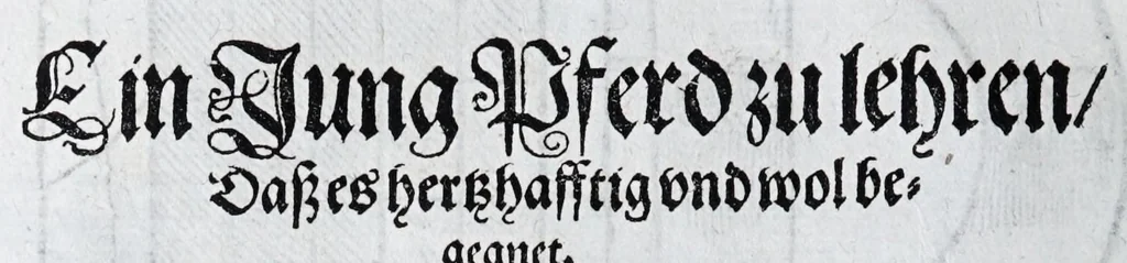 An illustration from Hippopronia : grundtlicher vnnd eigentlicher Bericht inn zwey Bücher verfasset : erstlichen, von Art vnd Eygenschafft der Pferde, wie die auff allerhand vnd vilfaltige Manieren vnd Weisen zu zeumen vnnd abzurichten : mit darzu gehöriger Mundstucken vnd Stangen, vff vnd Abrisse vnd andern künstlichen Figurẽ vorgebildt : so dann fürs ander von derselben Zufäll vnnd Kranckheiten, auch bewehrter Mittel, Curation vnd heilsamen Artzneyen gegründte Beschreibung : alles durch langwirige Erfahrung ... zusam̃en gebracht, vnd ... vor Jaren in Truck verfertigt, 1599, leaf 32