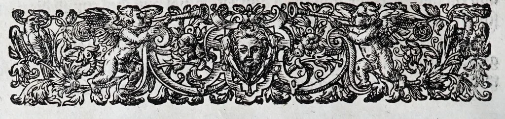 An illustration from Hippopronia : grundtlicher vnnd eigentlicher Bericht inn zwey Bücher verfasset : erstlichen, von Art vnd Eygenschafft der Pferde, wie die auff allerhand vnd vilfaltige Manieren vnd Weisen zu zeumen vnnd abzurichten : mit darzu gehöriger Mundstucken vnd Stangen, vff vnd Abrisse vnd andern künstlichen Figurẽ vorgebildt : so dann fürs ander von derselben Zufäll vnnd Kranckheiten, auch bewehrter Mittel, Curation vnd heilsamen Artzneyen gegründte Beschreibung : alles durch langwirige Erfahrung ... zusam̃en gebracht, vnd ... vor Jaren in Truck verfertigt, 1599, leaf 56