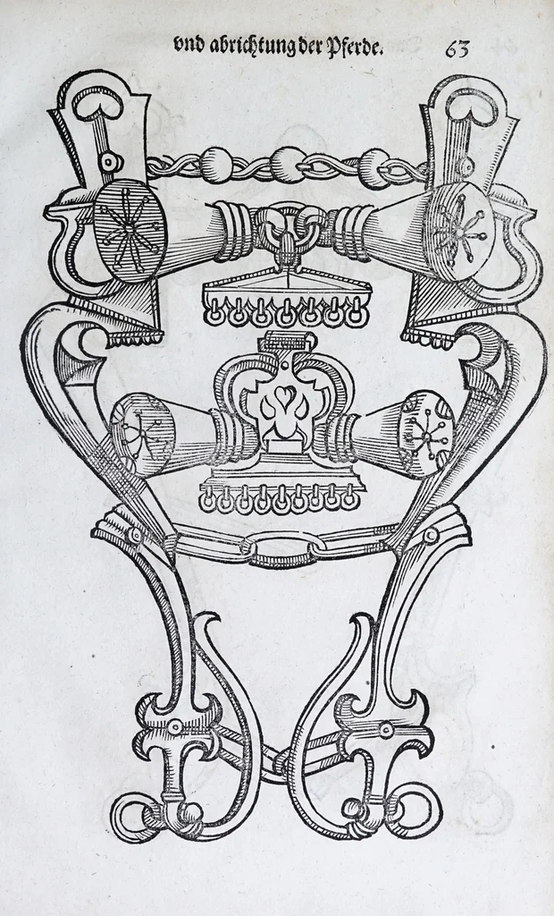 An illustration from Hippopronia : grundtlicher vnnd eigentlicher Bericht inn zwey Bücher verfasset : erstlichen, von Art vnd Eygenschafft der Pferde, wie die auff allerhand vnd vilfaltige Manieren vnd Weisen zu zeumen vnnd abzurichten : mit darzu gehöriger Mundstucken vnd Stangen, vff vnd Abrisse vnd andern künstlichen Figurẽ vorgebildt : so dann fürs ander von derselben Zufäll vnnd Kranckheiten, auch bewehrter Mittel, Curation vnd heilsamen Artzneyen gegründte Beschreibung : alles durch langwirige Erfahrung ... zusam̃en gebracht, vnd ... vor Jaren in Truck verfertigt, 1599, leaf 75