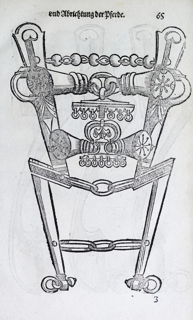 An illustration from Hippopronia : grundtlicher vnnd eigentlicher Bericht inn zwey Bücher verfasset : erstlichen, von Art vnd Eygenschafft der Pferde, wie die auff allerhand vnd vilfaltige Manieren vnd Weisen zu zeumen vnnd abzurichten : mit darzu gehöriger Mundstucken vnd Stangen, vff vnd Abrisse vnd andern künstlichen Figurẽ vorgebildt : so dann fürs ander von derselben Zufäll vnnd Kranckheiten, auch bewehrter Mittel, Curation vnd heilsamen Artzneyen gegründte Beschreibung : alles durch langwirige Erfahrung ... zusam̃en gebracht, vnd ... vor Jaren in Truck verfertigt, 1599, leaf 77