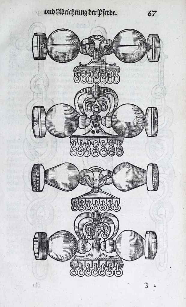 An illustration from Hippopronia : grundtlicher vnnd eigentlicher Bericht inn zwey Bücher verfasset : erstlichen, von Art vnd Eygenschafft der Pferde, wie die auff allerhand vnd vilfaltige Manieren vnd Weisen zu zeumen vnnd abzurichten : mit darzu gehöriger Mundstucken vnd Stangen, vff vnd Abrisse vnd andern künstlichen Figurẽ vorgebildt : so dann fürs ander von derselben Zufäll vnnd Kranckheiten, auch bewehrter Mittel, Curation vnd heilsamen Artzneyen gegründte Beschreibung : alles durch langwirige Erfahrung ... zusam̃en gebracht, vnd ... vor Jaren in Truck verfertigt, 1599, leaf 79