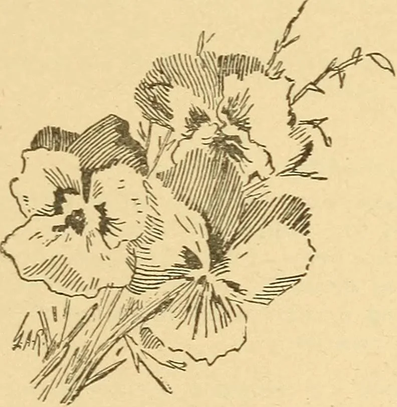 An illustration from His glorious appearing: an exposition of Matthew twenty-four, 1904, leaf 125