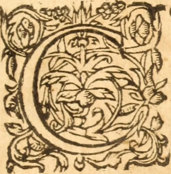 An illustration from The English catechisme explained .., 1630, leaf 16