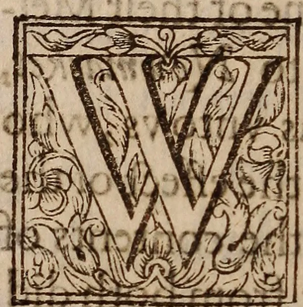 An illustration from His Maiesties declaration : touching his proceedings in the late assembly and conuention of parliament, 1621, leaf 25