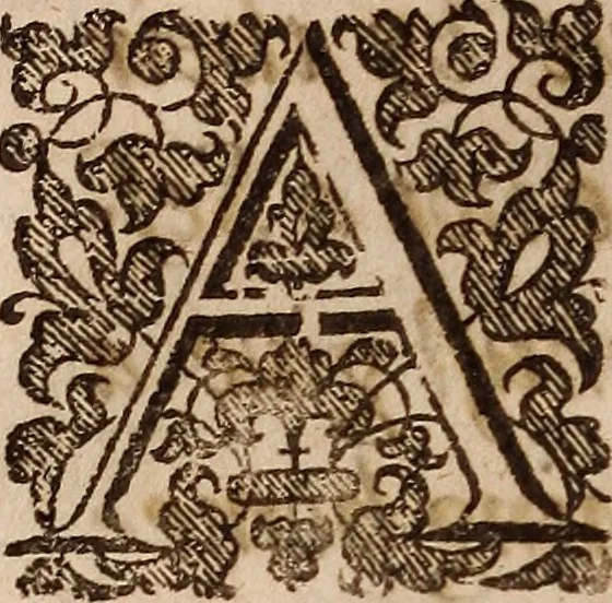 An illustration from His Maiesties declaration : touching his proceedings in the late assembly and conuention of parliament, 1621, leaf 65