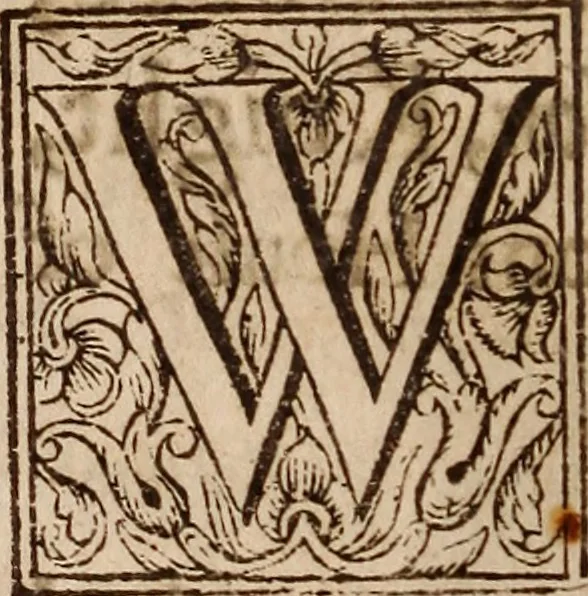 An illustration from His Maiesties declaration : touching his proceedings in the late assembly and conuention of parliament, 1621, leaf 65