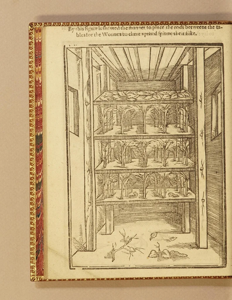 An illustration from His Maiesties gracious letter to the Earle of South-Hampton, treasurer, and to the Councell and Company of Virginia heere: commanding the present setting up of silke works, and planting of vines in Virginia. : And the letter of the treasurer, councell, and company, to the gouernour and councell of state there, for the strict execution of His Maiesties royall commands herein. Also a treatise of the art of making silke: or, Directions for the making of lodgings, and the breeding, nourishing, and ordering of silkewormes, and for the planting of mulbery trees, and all other things belonging to the silke art. Together with instructions how to plant and dresse vines, and to make wine, and how to dry raisins, figs, and other fruits, and to set oliues, oranges, lemons, pomegranates, almonds, and many other fruits, &c. And in the end, a conclusion, with sundry profitable remonstrances to the colonies. Set foorth for the benefit of the two renowned and most hopefull sisters, Virginia, and the Summer-Ilands., 1622, leaf 32