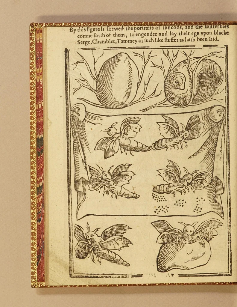 An illustration from His Maiesties gracious letter to the Earle of South-Hampton, treasurer, and to the Councell and Company of Virginia heere: commanding the present setting up of silke works, and planting of vines in Virginia. : And the letter of the treasurer, councell, and company, to the gouernour and councell of state there, for the strict execution of His Maiesties royall commands herein. Also a treatise of the art of making silke: or, Directions for the making of lodgings, and the breeding, nourishing, and ordering of silkewormes, and for the planting of mulbery trees, and all other things belonging to the silke art. Together with instructions how to plant and dresse vines, and to make wine, and how to dry raisins, figs, and other fruits, and to set oliues, oranges, lemons, pomegranates, almonds, and many other fruits, &c. And in the end, a conclusion, with sundry profitable remonstrances to the colonies. Set foorth for the benefit of the two renowned and most hopefull sisters, Virginia, and the Summer-Ilands., 1622, leaf 34