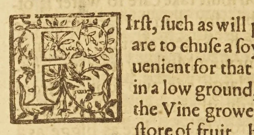 An illustration from His Maiesties gracious letter to the Earle of South-Hampton, treasurer, and to the Councell and Company of Virginia heere: commanding the present setting up of silke works, and planting of vines in Virginia. : And the letter of the treasurer, councell, and company, to the gouernour and councell of state there, for the strict execution of His Maiesties royall commands herein. Also a treatise of the art of making silke: or, Directions for the making of lodgings, and the breeding, nourishing, and ordering of silkewormes, and for the planting of mulbery trees, and all other things belonging to the silke art. Together with instructions how to plant and dresse vines, and to make wine, and how to dry raisins, figs, and other fruits, and to set oliues, oranges, lemons, pomegranates, almonds, and many other fruits, &c. And in the end, a conclusion, with sundry profitable remonstrances to the colonies. Set foorth for the benefit of the two renowned and most hopefull sisters, Virginia, and the Summer-Ilands., 1622, leaf 54