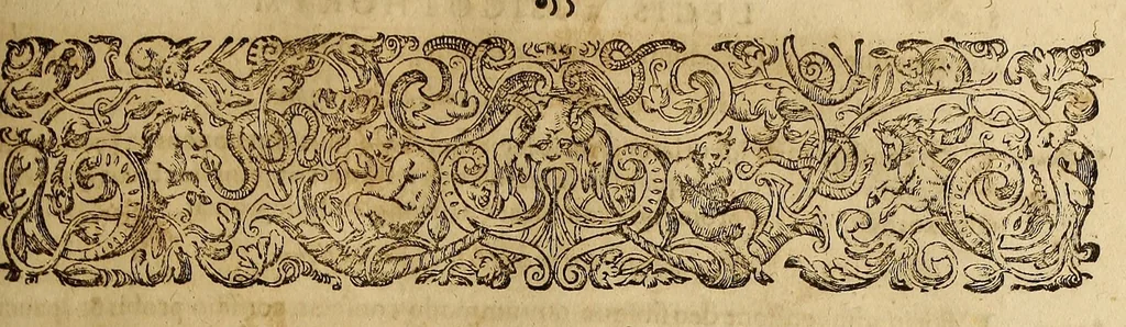 An illustration from Hispaniae illustratæ seu Rerum vrbiumq. Hispaniæ, Lusitaniæ, Æthiopiæ et Indiæ scriptores varii. : Partim editi nunc primum, partim aucti atque emendati. : Quorum seriem sequens post præfationem pagina exhibet. : Tomis aliquot diuisi., 1603, leaf 1013