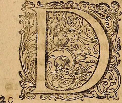 An illustration from Hispaniae illvstratæ; sev. Rervm. vrbivmq. Hispaniæ, Lvsitaniæ, Æthiopiæ et Indiæ scriptores varii., 1603, leaf 1016