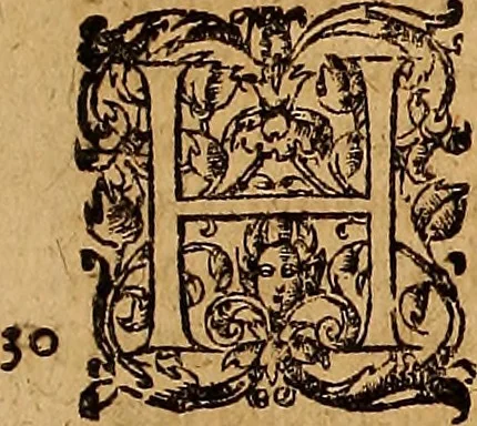 An illustration from Hispaniae illvstratæ; sev. Rervm. vrbivmq. Hispaniæ, Lvsitaniæ, Æthiopiæ et Indiæ scriptores varii., 1603, leaf 1062