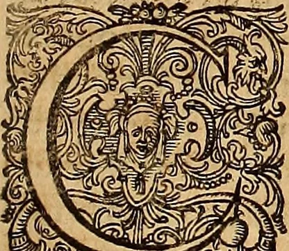 An illustration from Hispaniae illvstratæ; sev. Rervm. vrbivmq. Hispaniæ, Lvsitaniæ, Æthiopiæ et Indiæ scriptores varii., 1603, leaf 108