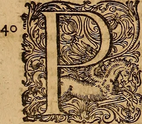 An illustration from Hispaniae illvstratæ; sev. Rervm. vrbivmq. Hispaniæ, Lvsitaniæ, Æthiopiæ et Indiæ scriptores varii., 1603, leaf 1152