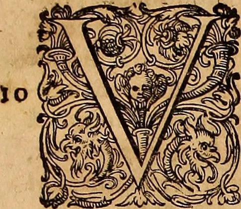 An illustration from Hispaniae illvstratæ; sev. Rervm. vrbivmq. Hispaniæ, Lvsitaniæ, Æthiopiæ et Indiæ scriptores varii., 1603, leaf 1188