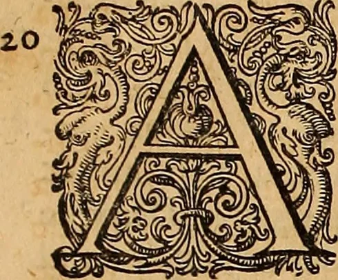 An illustration from Hispaniae illvstratæ; sev. Rervm. vrbivmq. Hispaniæ, Lvsitaniæ, Æthiopiæ et Indiæ scriptores varii., 1603, leaf 1190