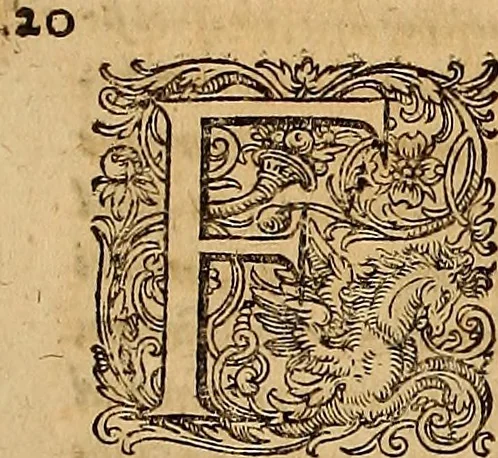 An illustration from Hispaniae illvstratæ; sev. Rervm. vrbivmq. Hispaniæ, Lvsitaniæ, Æthiopiæ et Indiæ scriptores varii., 1603, leaf 134