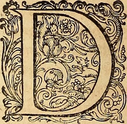 An illustration from Hispaniae illvstratæ; sev. Rervm. vrbivmq. Hispaniæ, Lvsitaniæ, Æthiopiæ et Indiæ scriptores varii., 1603, leaf 135