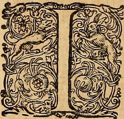 An illustration from Hispaniae illvstratæ; sev. Rervm. vrbivmq. Hispaniæ, Lvsitaniæ, Æthiopiæ et Indiæ scriptores varii., 1603, leaf 167
