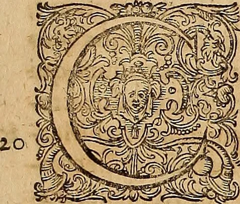 An illustration from Hispaniae illvstratæ; sev. Rervm. vrbivmq. Hispaniæ, Lvsitaniæ, Æthiopiæ et Indiæ scriptores varii., 1603, leaf 204